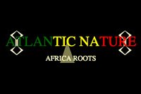 Africa Roots